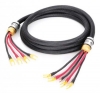 Accustic Arts Premium Line MK-2 Bi-Wire 3m