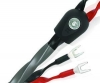 Wireworld Equinox 8 Speaker Cable 3.0m Pair (BAN-BAN)