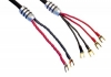 Accustic Arts Top Line MK-2 full range 3m