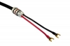 Accustic Arts COAX LINE 3m