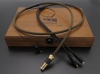 Zavfino GOLDRUSH-RCA-XLR