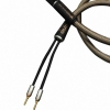 Zavfino Silver DART-SPK
